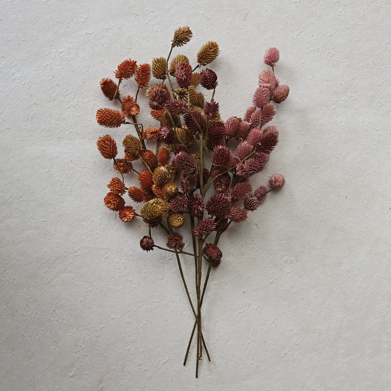 Dried Natural Thistle